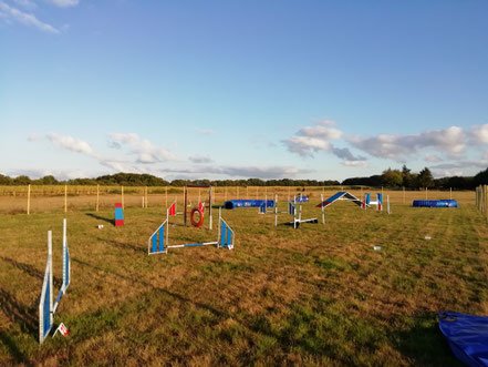 agility